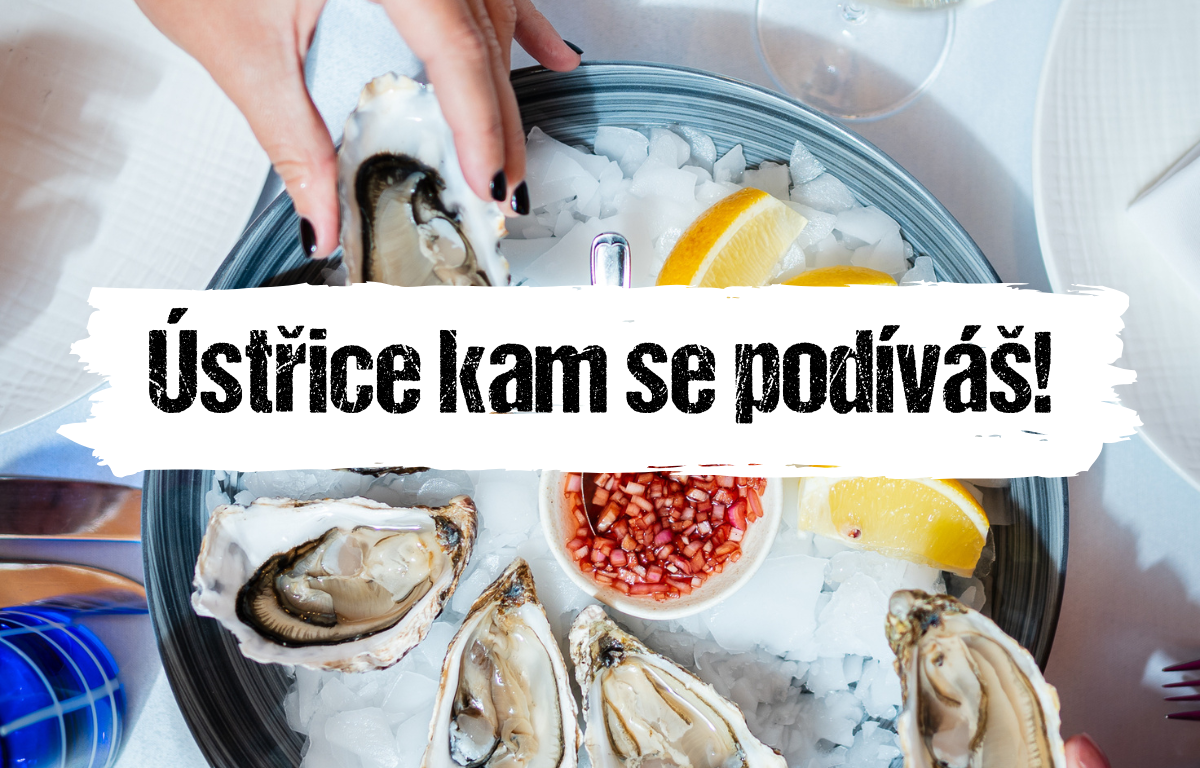 Článek