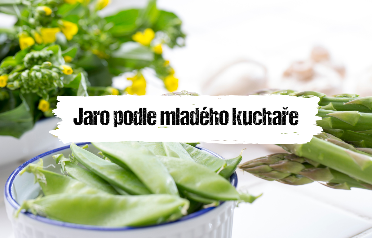 Článek