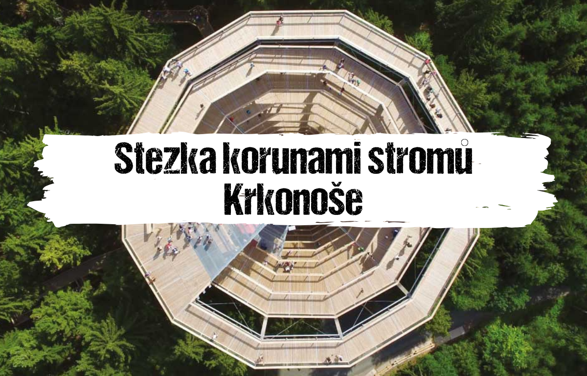 Článek