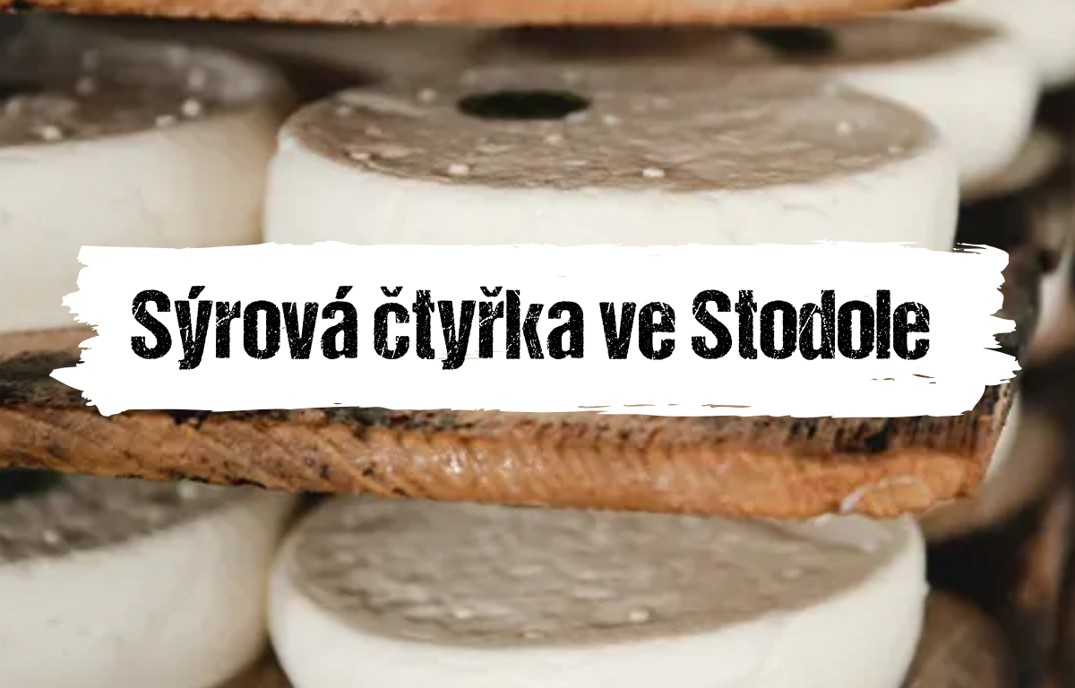 Článek