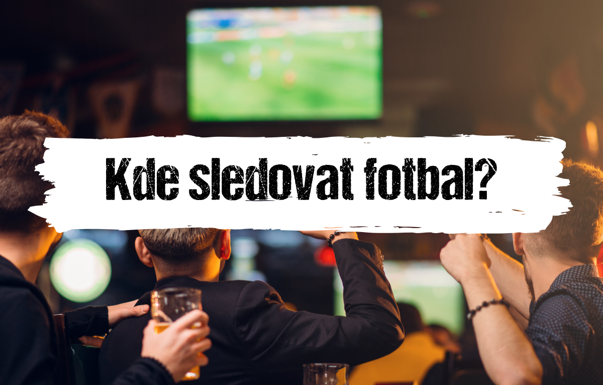 Článek