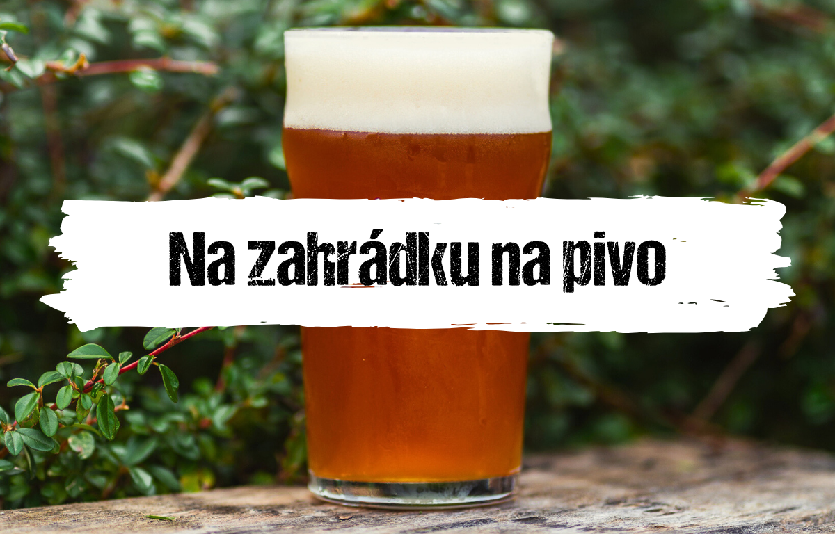 Článek