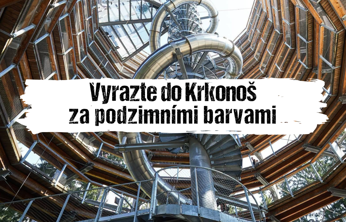 Článek