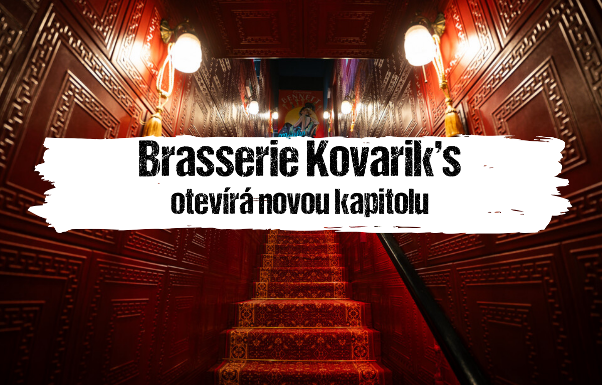 Článek