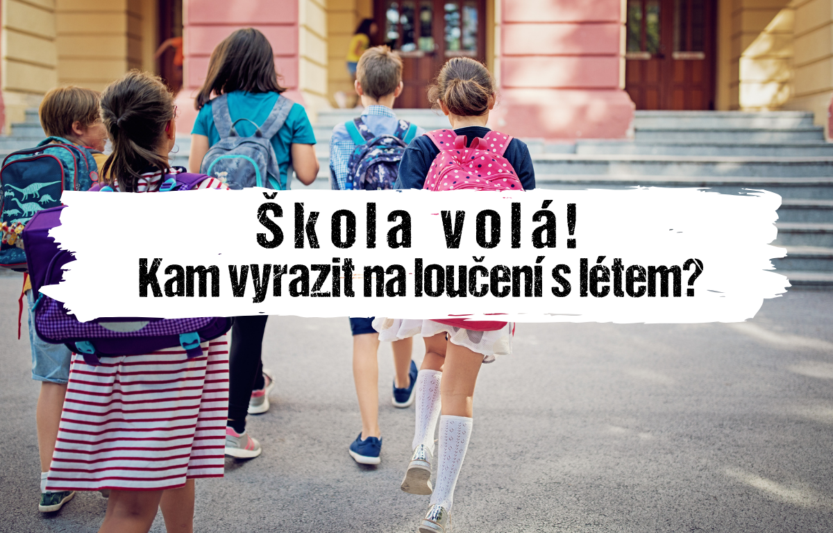Článek
