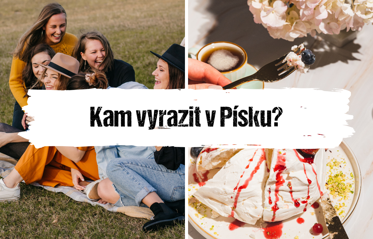 Článek