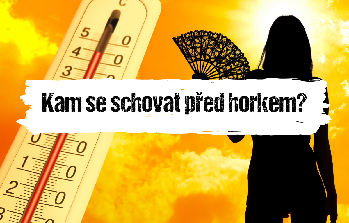 Článek