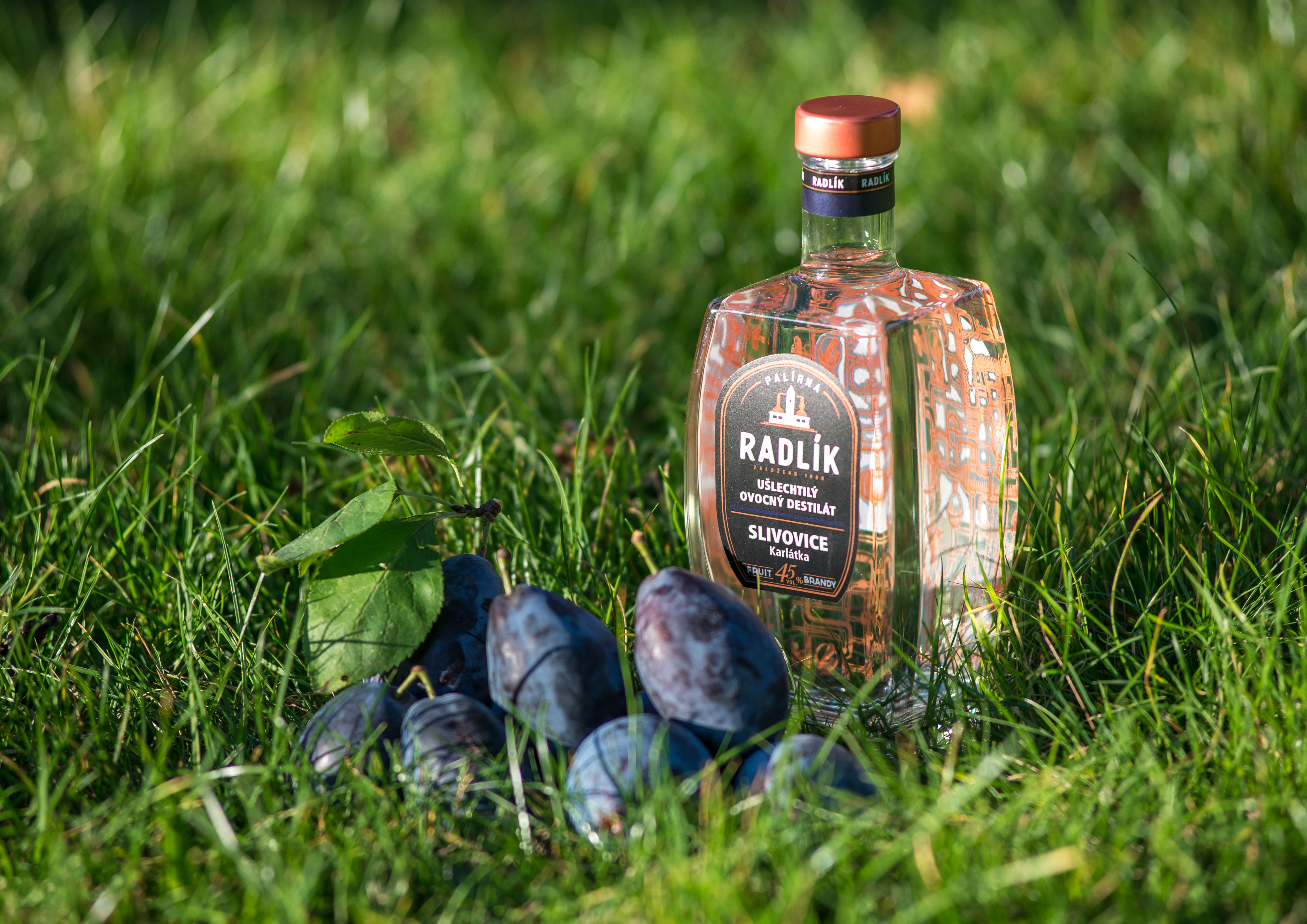 pálenka radlík