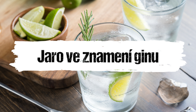 Článek