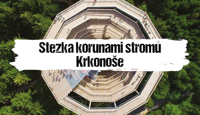Článek