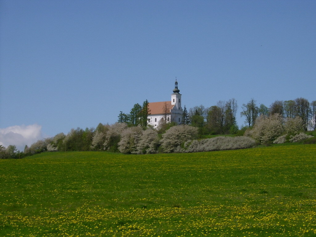 Fotografie z galerie článku