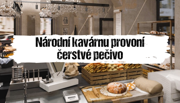 Článek