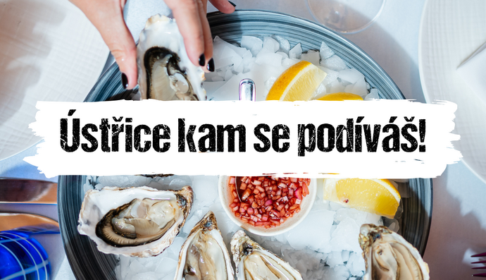 Článek