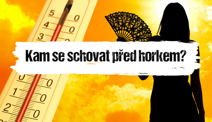 Článek