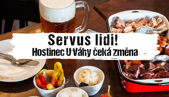 Článek
