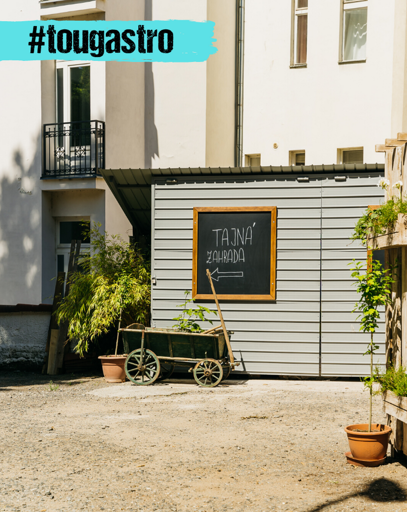 Fotografie z galerie článku