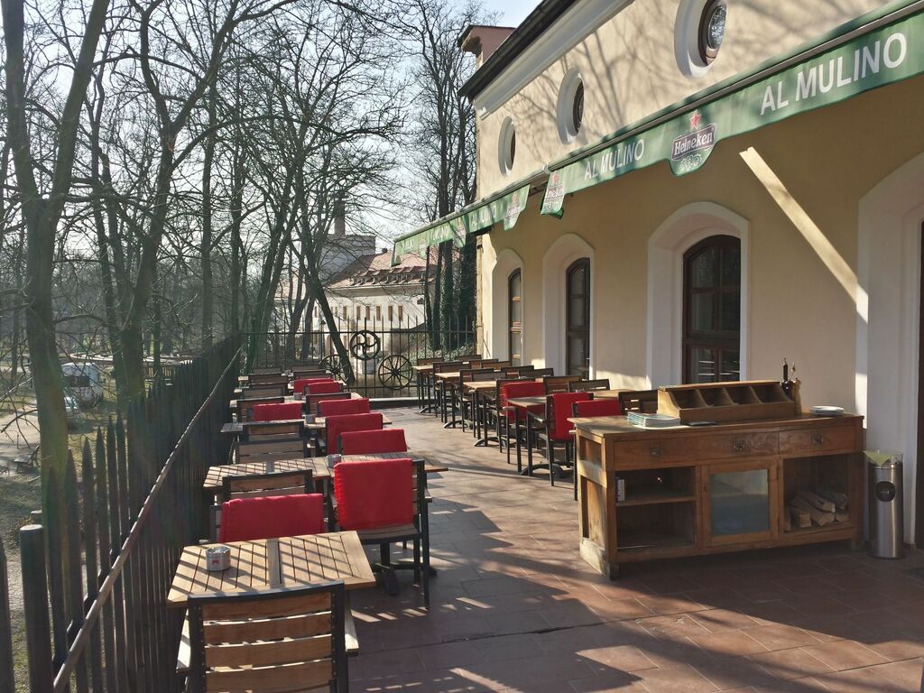 Fotografie z galerie článku