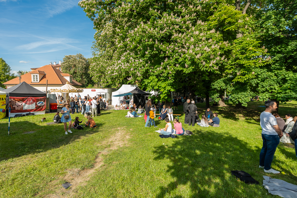 Fotografie z galerie článku