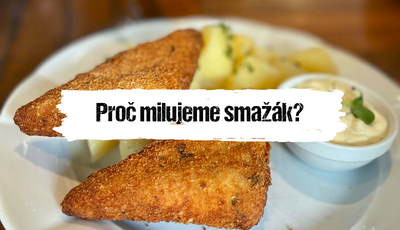 Článek