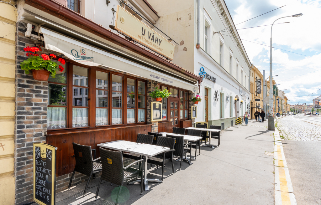 Fotografie z galerie článku