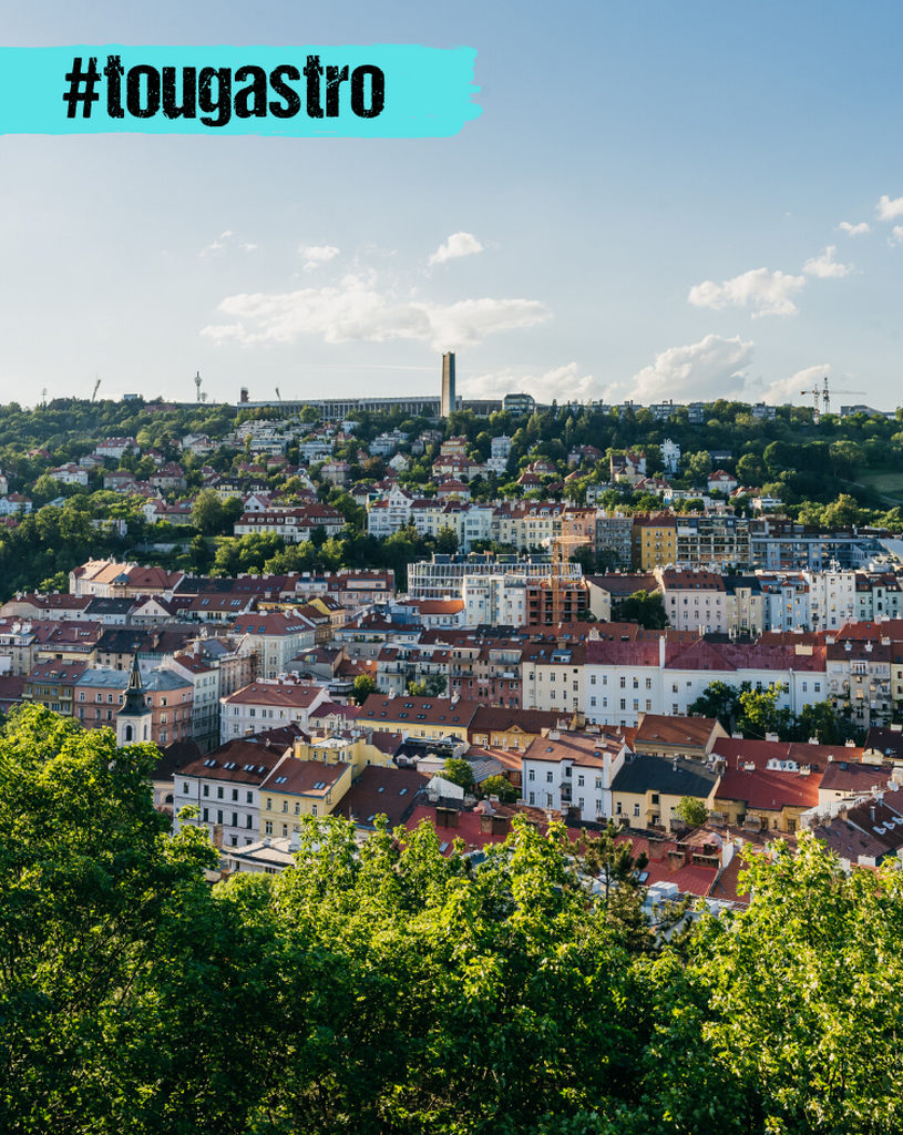 Fotografie z galerie článku