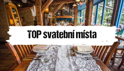 Článek