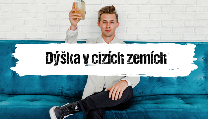 Článek