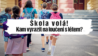Článek