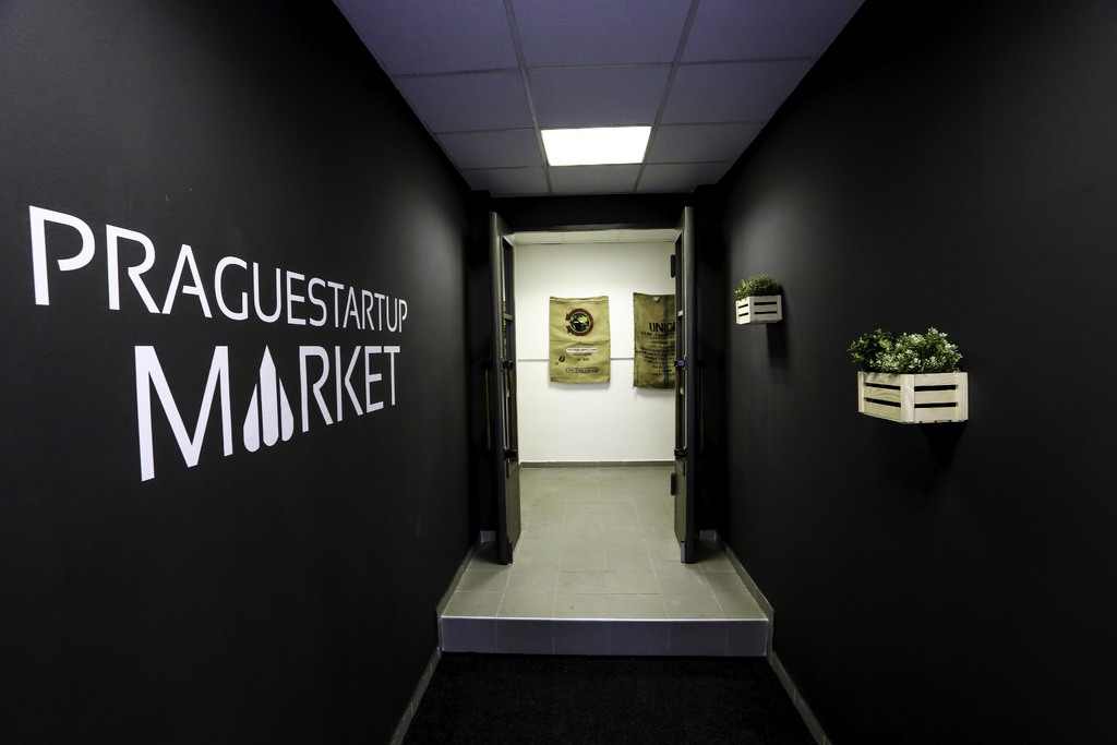 Fotografie z galerie článku