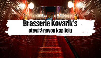 Článek