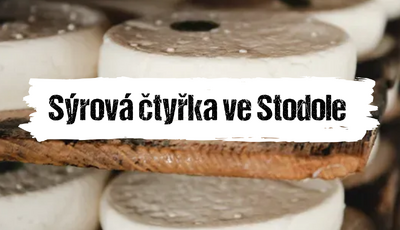 Článek