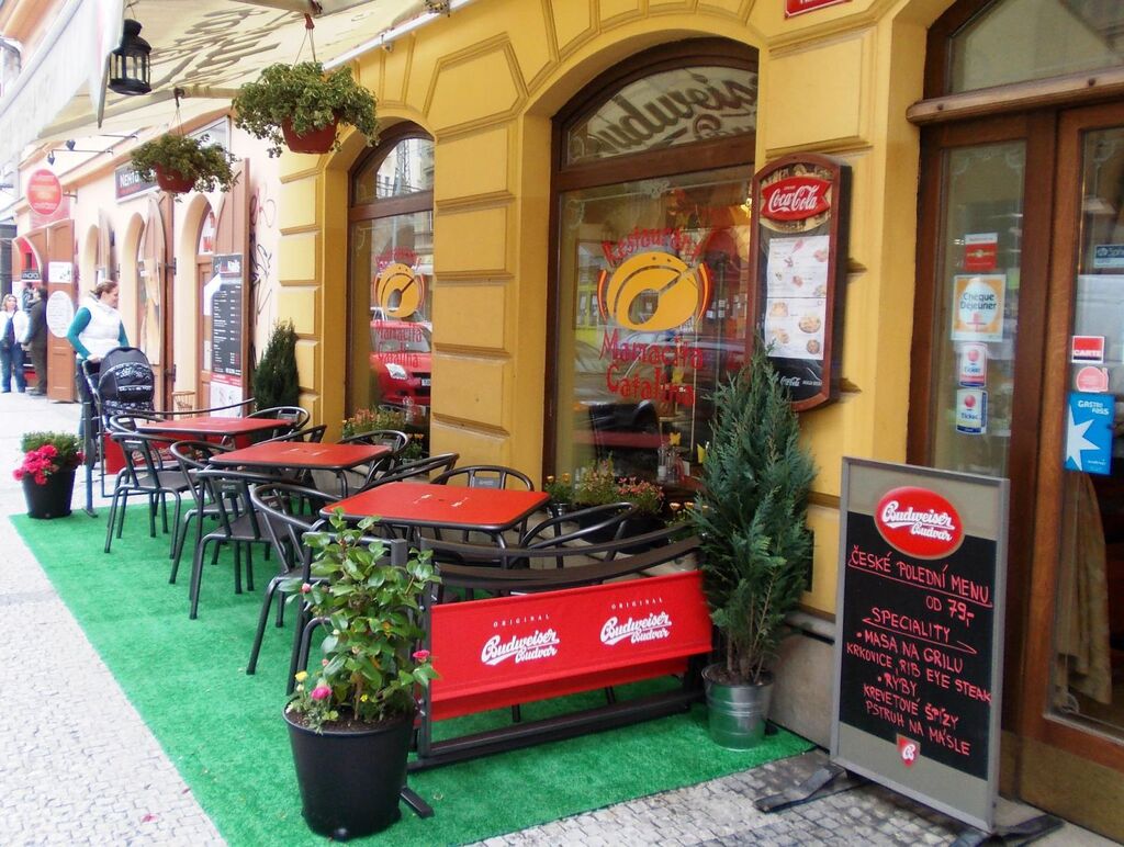 Fotografie z galerie článku