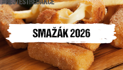 Článek