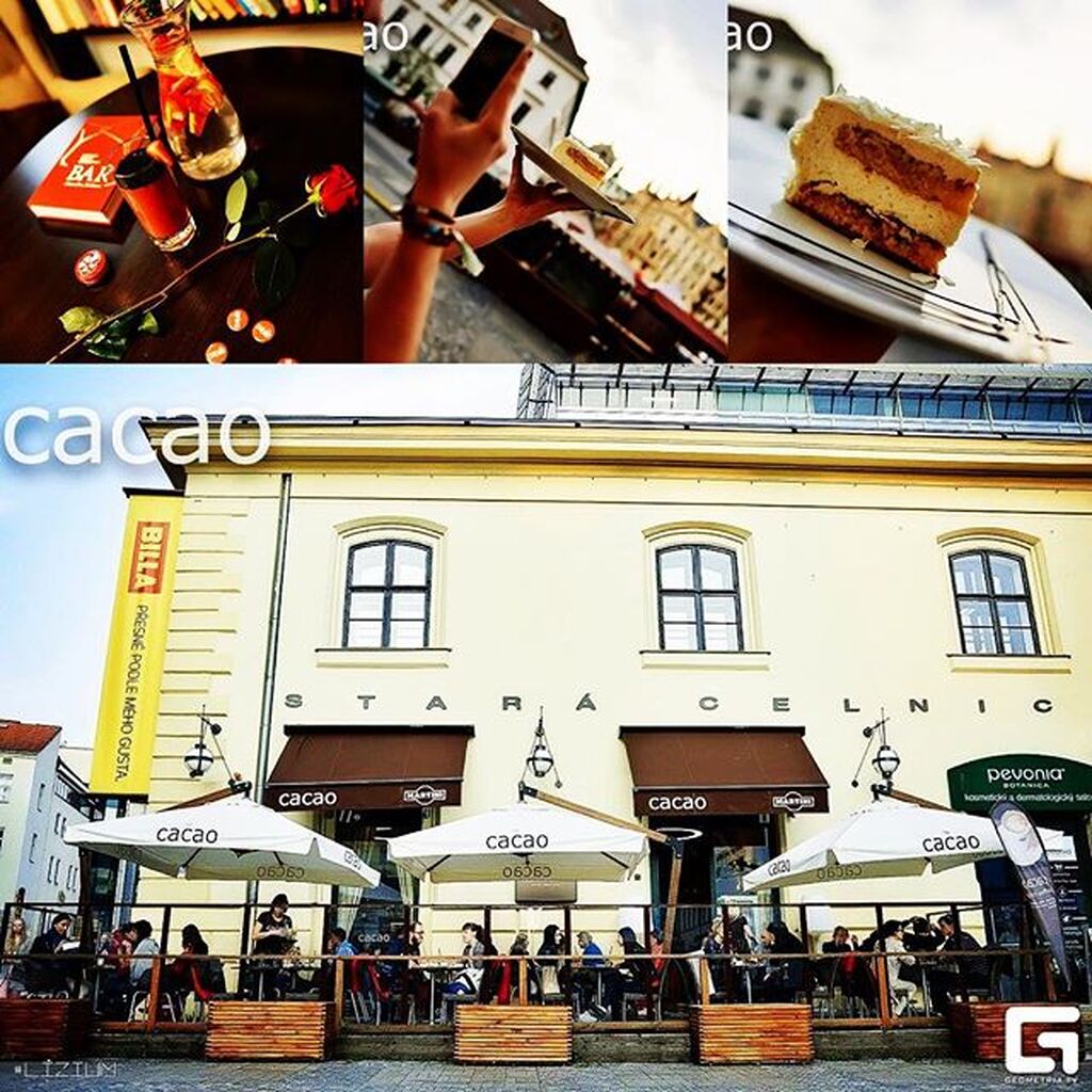 Fotografie z galerie článku