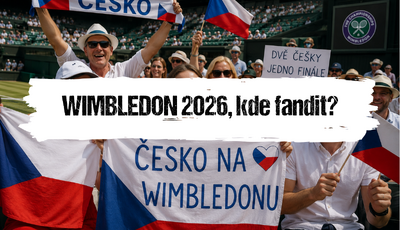 Článek