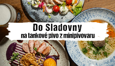 Článek