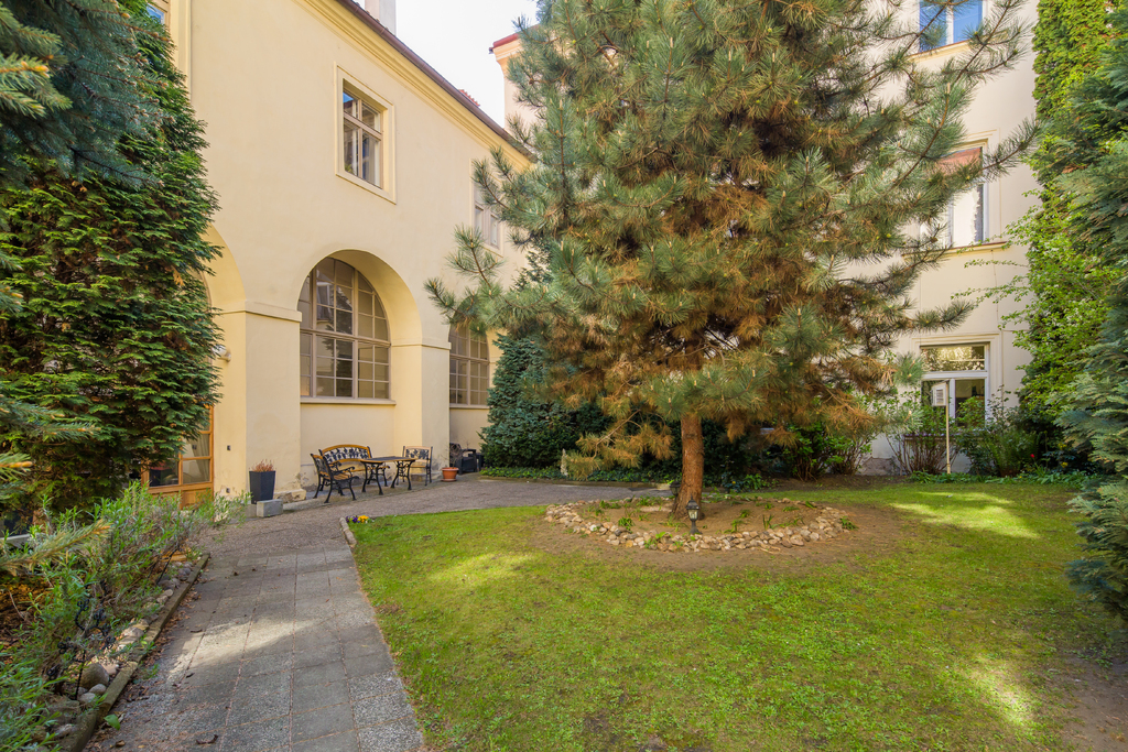 Fotografie z galerie článku