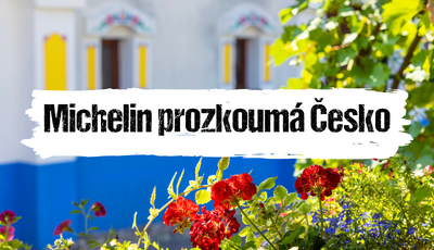 Článek