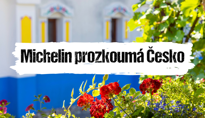 Článek