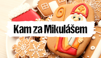 Článek