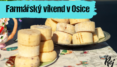 Článek