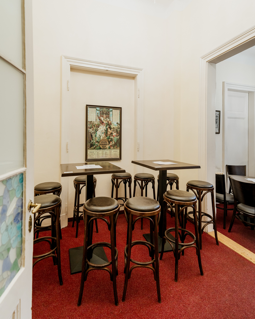 Fotografie z galerie článku