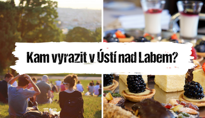 Článek