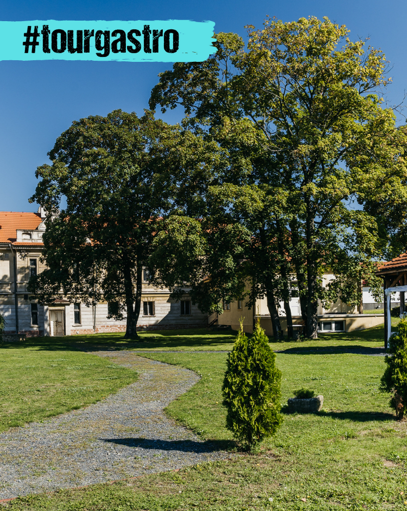 Fotografie z galerie článku