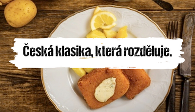 Článek
