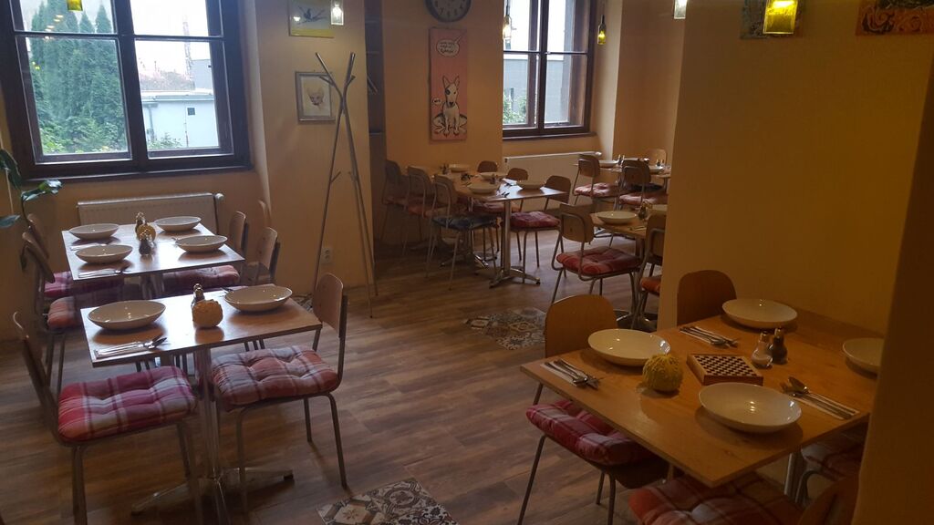 Fotografie z galerie článku