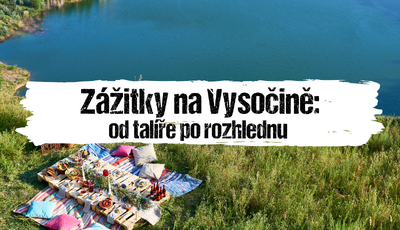 Článek