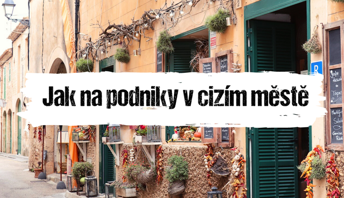 Článek