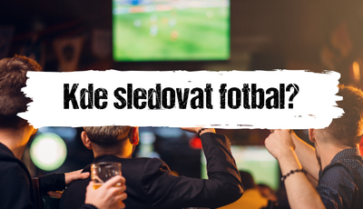 Článek