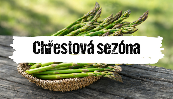 Článek
